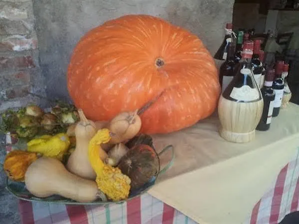 Al Mercato B&B Siena Włochy